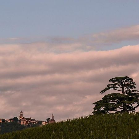 Villa Goccia Di Vino La Morra Extérieur photo